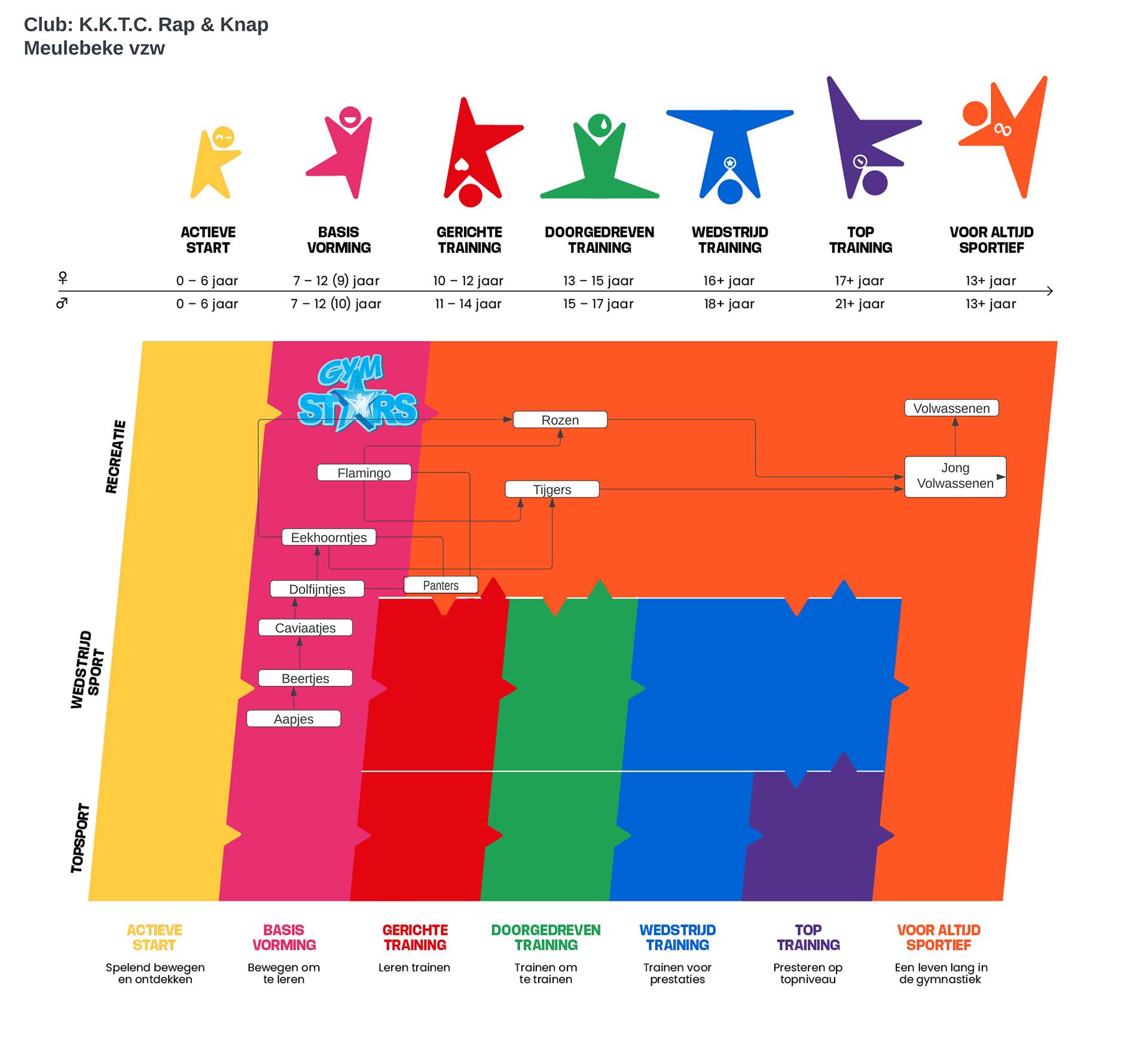 foto sportief organogram